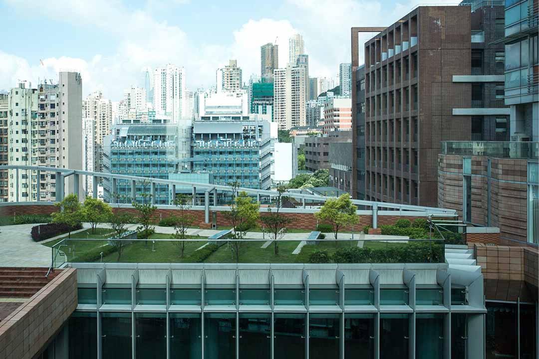 香港大學的綠化平台。