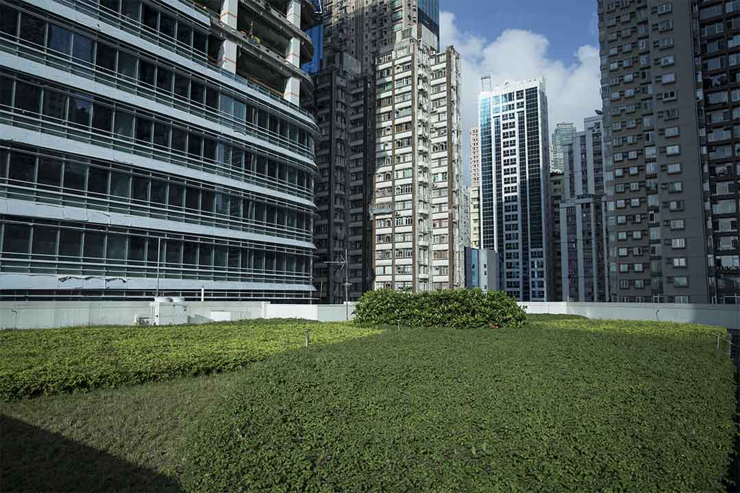 銅鑼灣社區中心的綠化天台。
