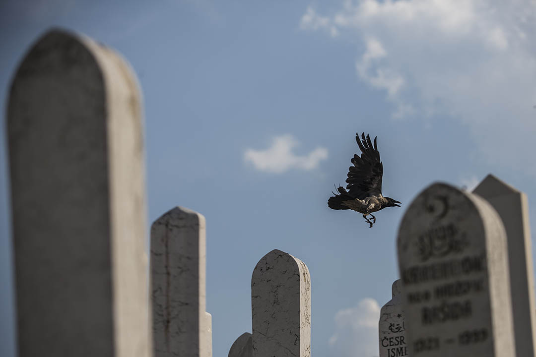萨拉热窝一个公墓,埋葬着1995年 Srebrenica 大屠杀死亡的死难者。