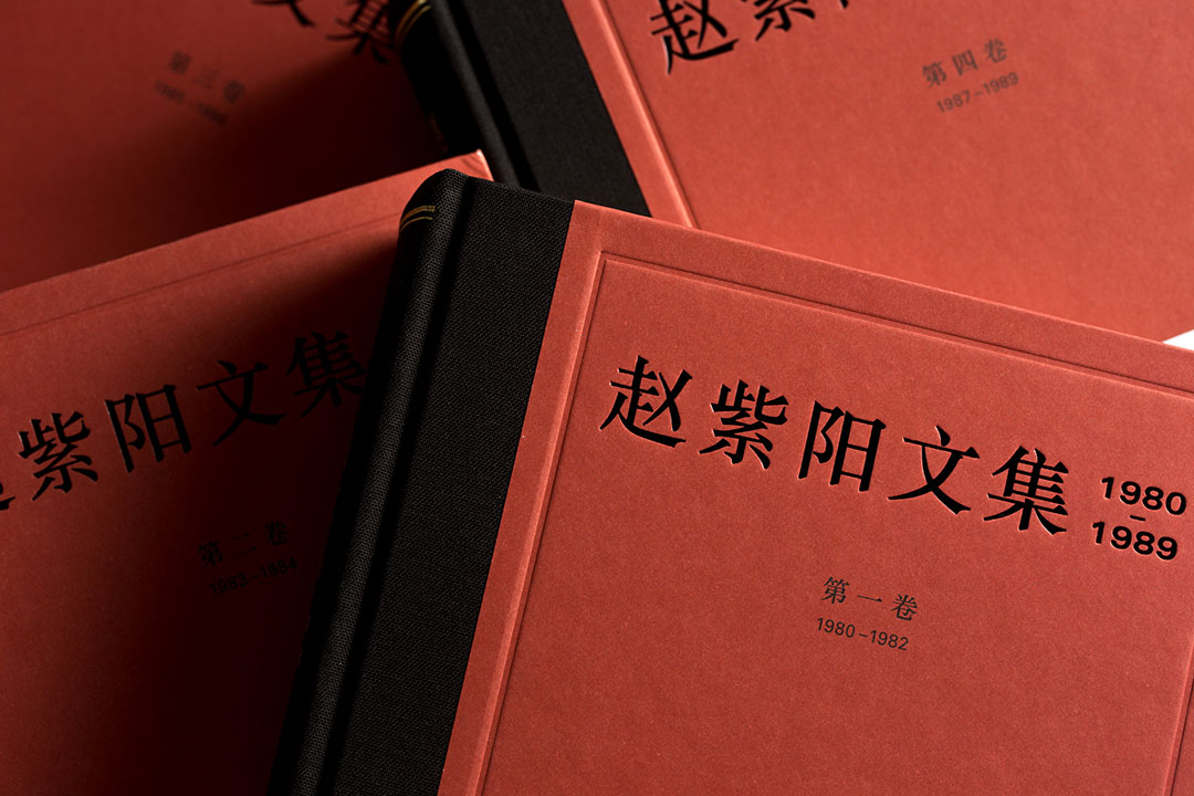 《趙紫陽文集》。