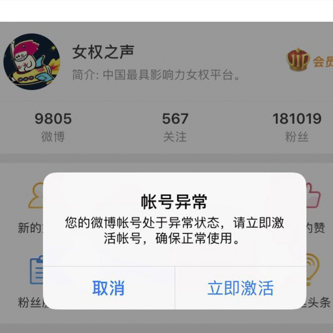 2018年3月8日,国际“三八”妇女节当天深夜,因“发布敏感违规信息”,拥有18万粉丝的中国最大民间女权组织@女权之声遭到新浪微博销号,并被告知账号无法恢复。