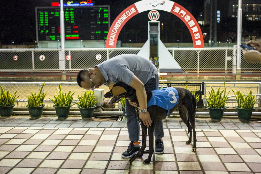 狗主每月均以澳門幣一萬至十萬不等的價錢購入新格力犬,後再以每月澳門幣1750元的費用託付狗園讓練狗師操練。小的賽事勝出可贏澳幣一千至二千元,一些盃賽的獎金則可高至十萬。