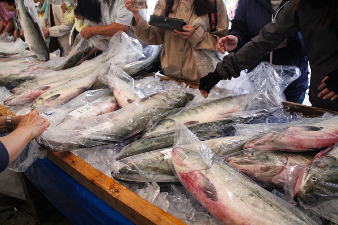 石狩市的魚市場。