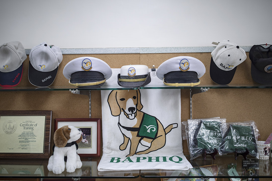 關於檢疫犬的紀念品。