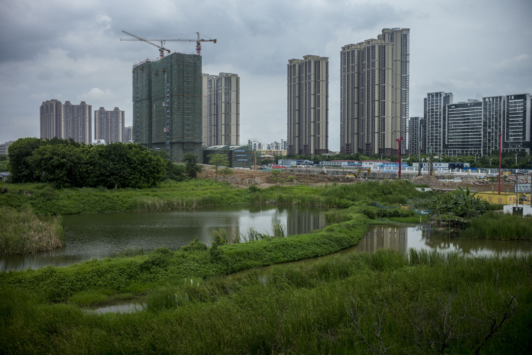 80年代开始,香港“爱国商人”霍英东就到此大举投资,建议把南沙建成“拥有国际性港口的现代滨海小城”。