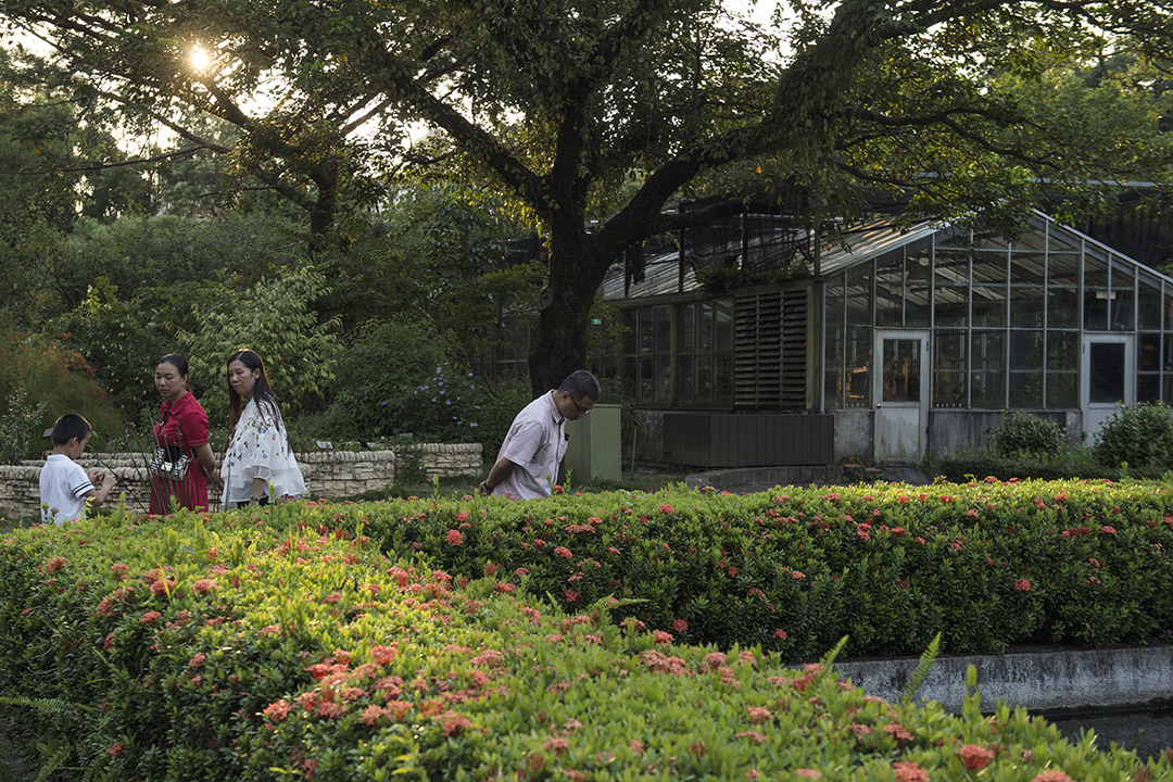 台北植物園。