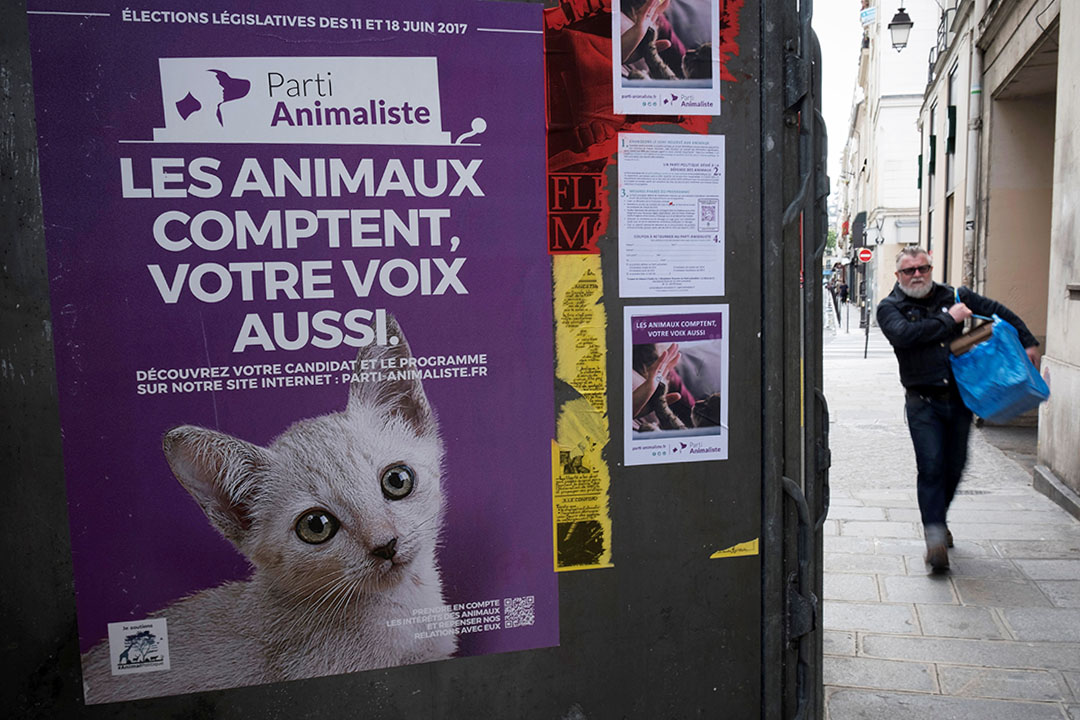 2017年6月7日，一名男子在巴黎的“Parti Animaliste”選舉活動海報旁走過。 