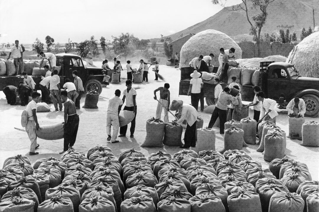 1967年,中國北方山西省的一個人民公社成員,裝載著小麥曬乾後運往中央政府。