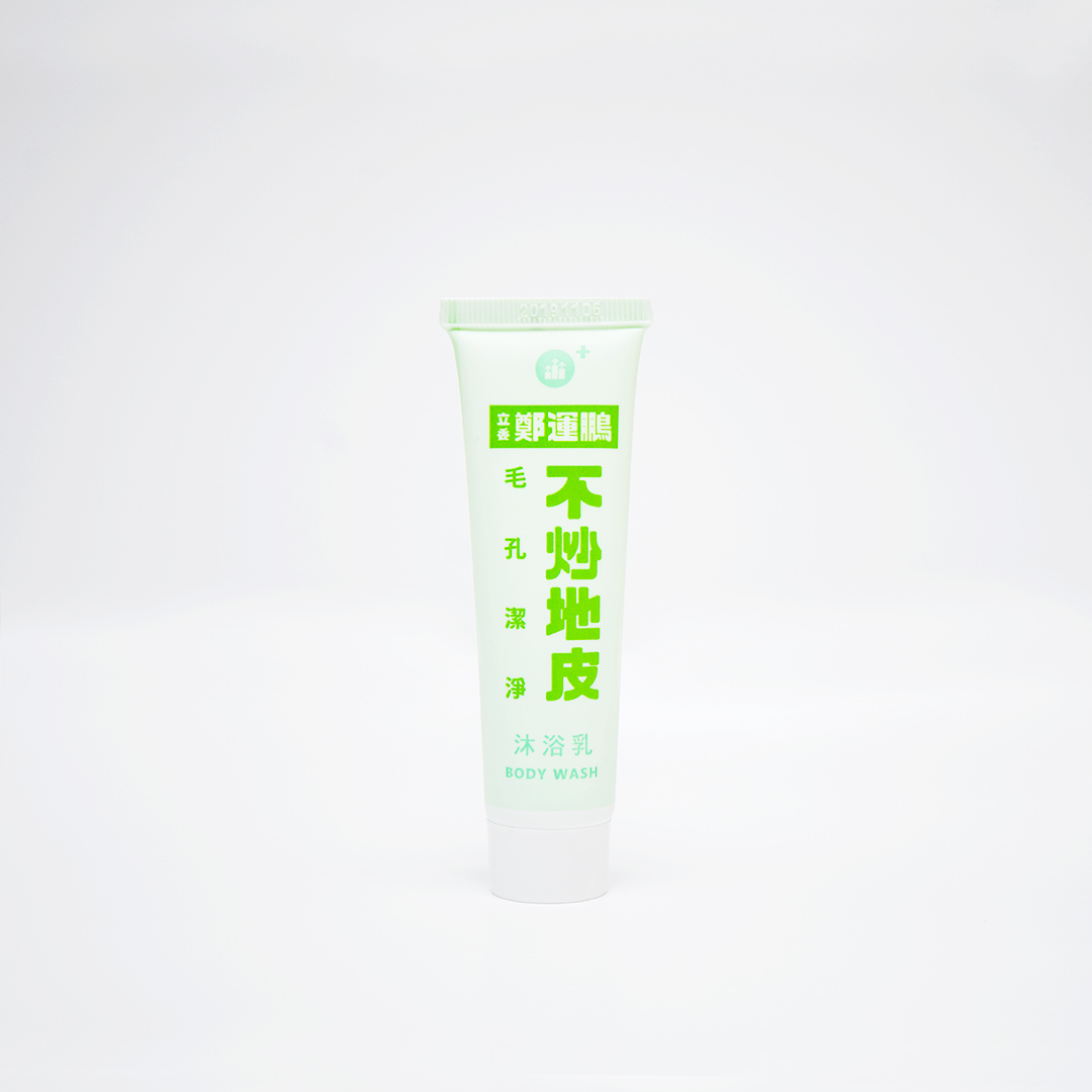 民進黨的競選宣傳品。