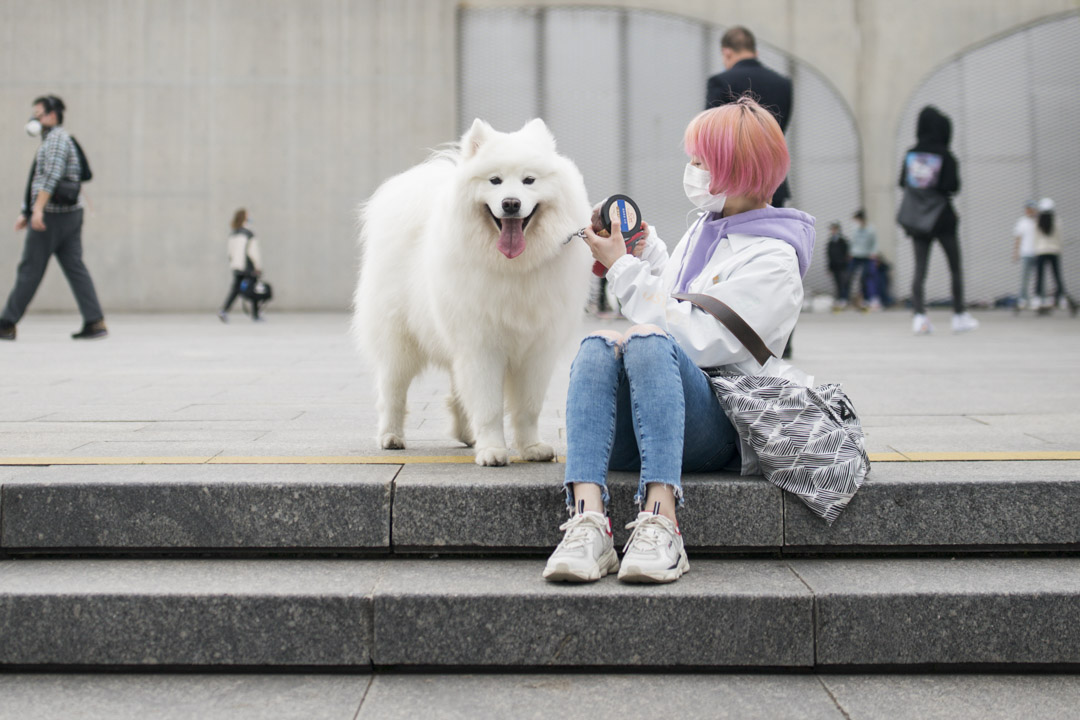 2020年4月6日,上海一名女士與寵物狗在公園。