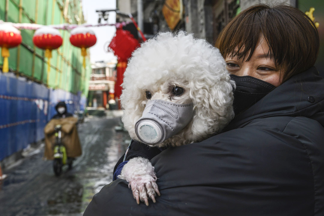 2020年2月7日,北京街上一名女士與她的寵物狗都戴著防護口罩。