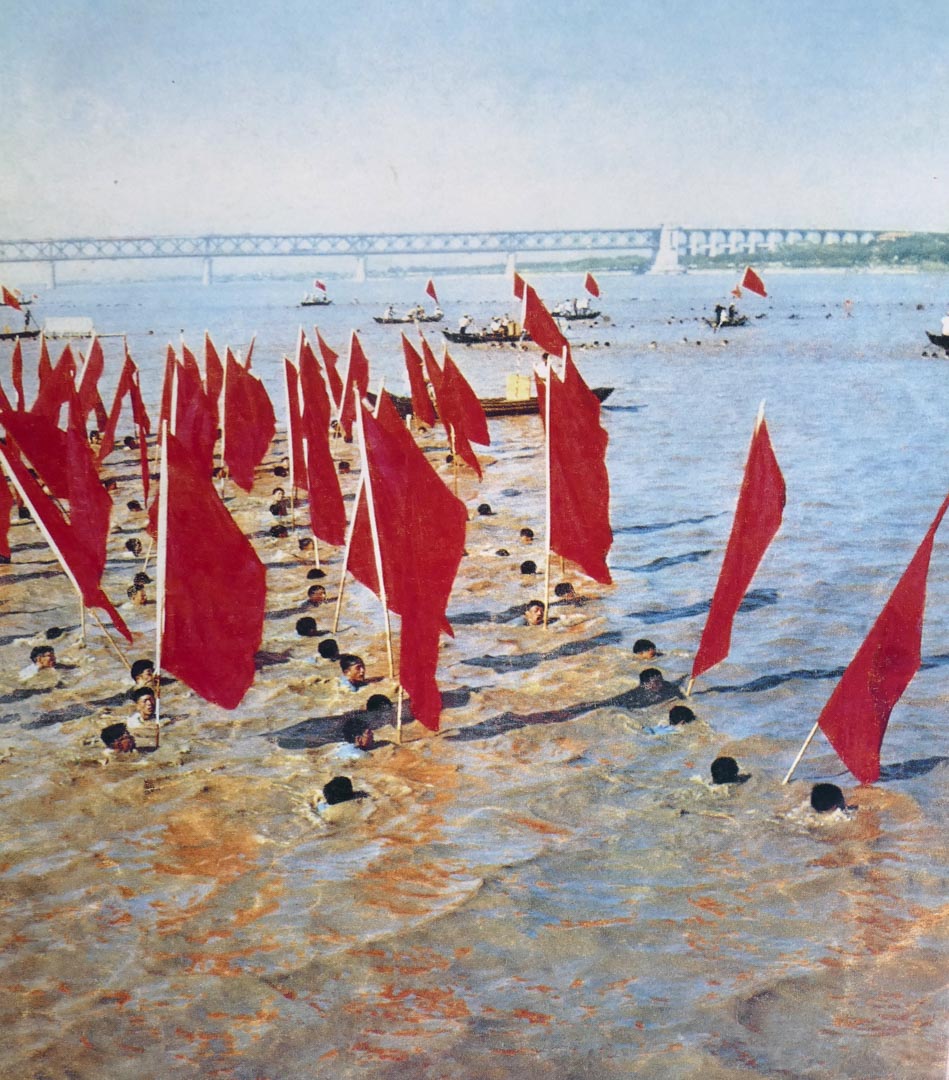 1967年，文化大革命期間，紅衛兵攜紅旗在長江中游泳。 