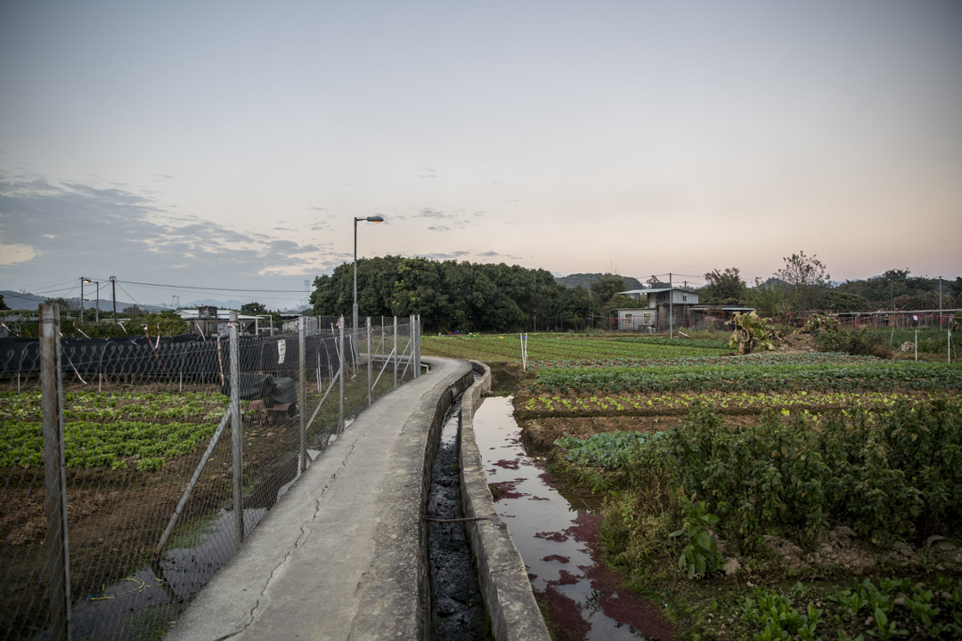 蕉徑「達記園」旁的小路。
