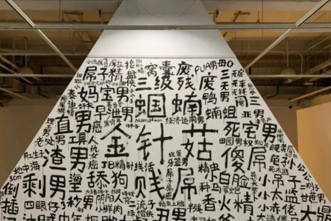 2020年12月,中國大陸的中央美術學院雕塑系樓裏,有人製作牆繪「一體兩面」,在一堵牆的正反面分別塗上了網絡上辱罵男性和女性的字句。創作者意指這些字句看似對立,實際上在一個整體裏。