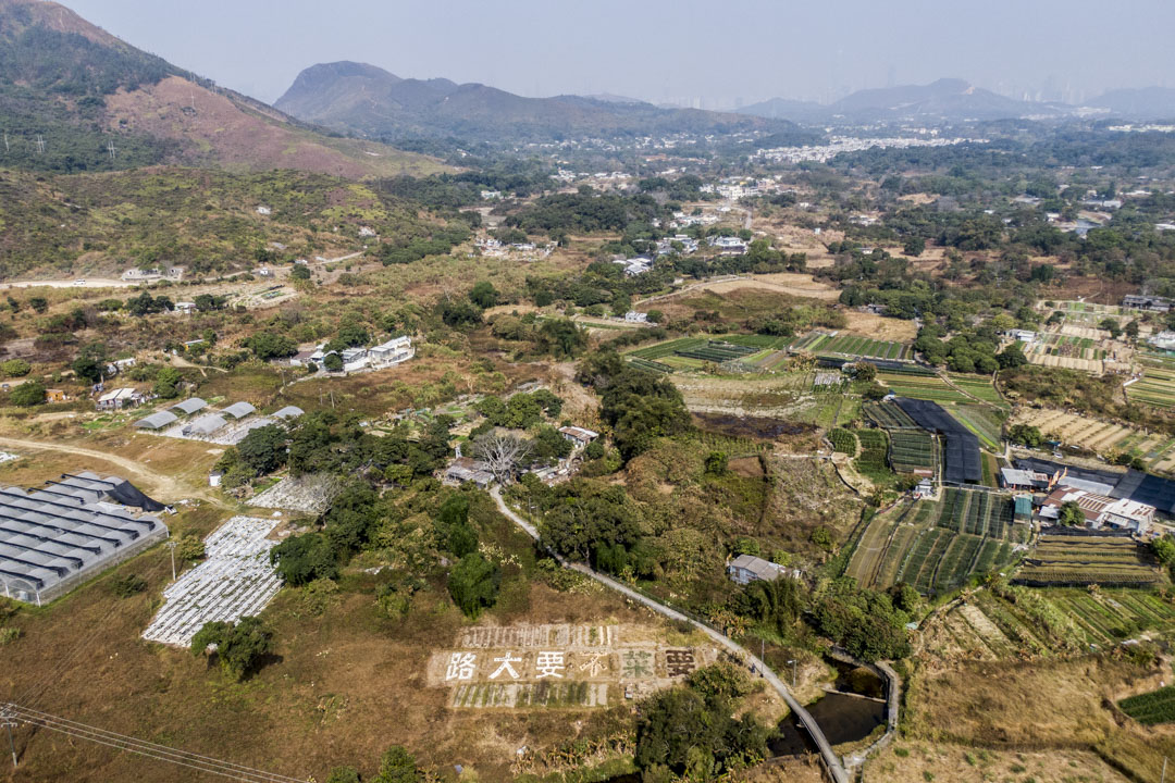 為了表示對新建大馬路破壞農地的不滿，農民日青和朋友用時令作物在大路擬建的位置上種出五個大字：「要！菜！不！要！大！路」。