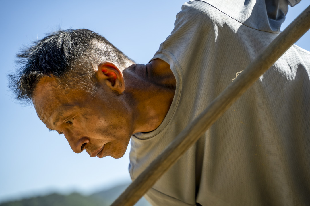 譚偉文今年他51歲，人人叫他文哥，是蕉徑土生土長的農二代，2008年回到蕉徑耕作做農夫。