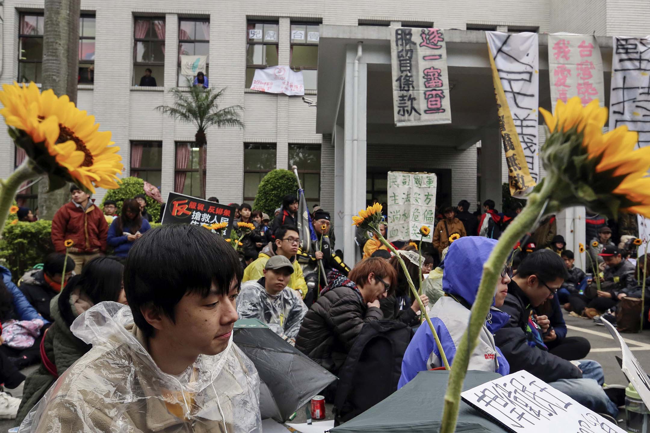 2014年3月21日台北,學生們拿著向日葵坐在台灣立法機關外。