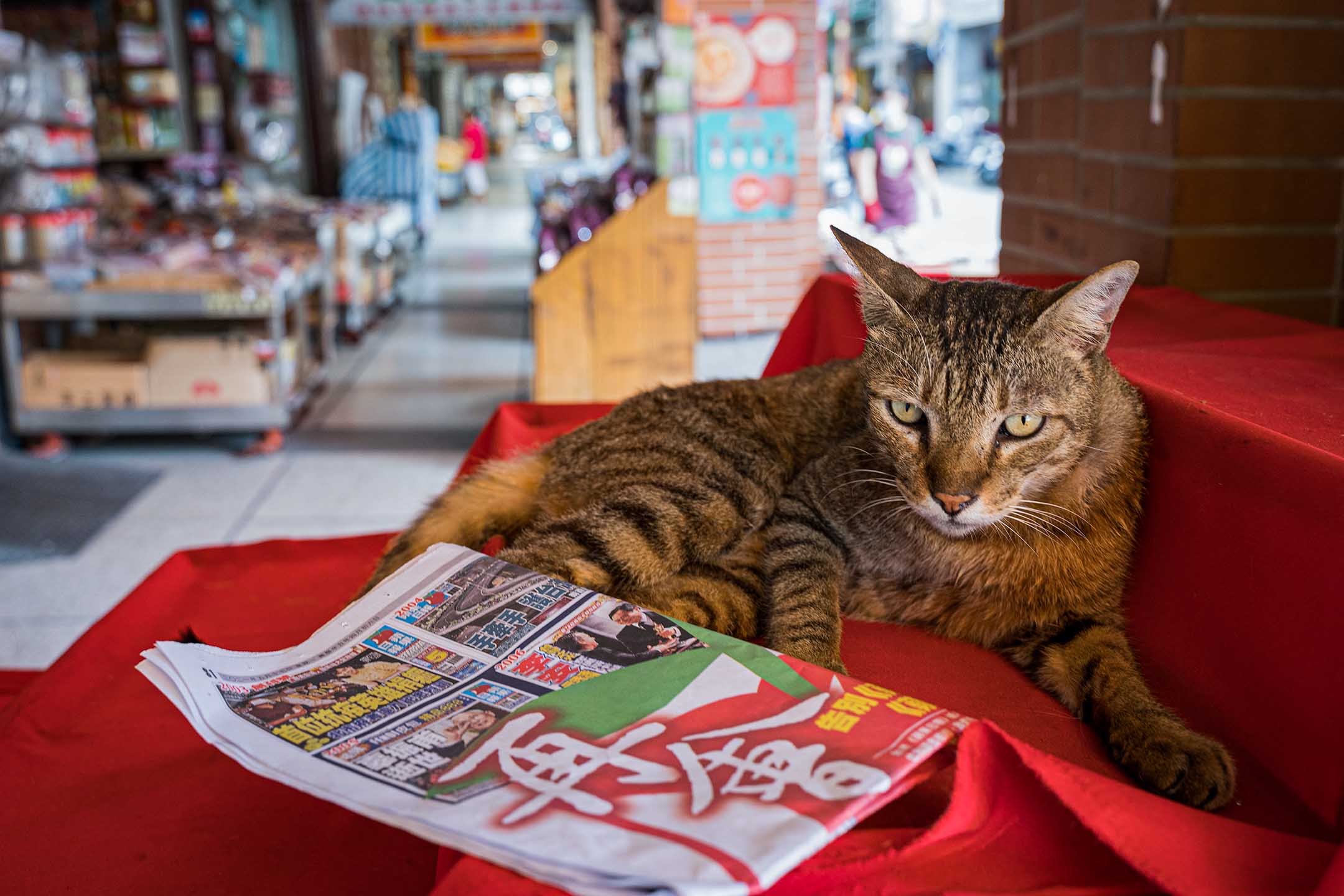 2021年5月17日在台北，最後一天的紙本蘋果日報。
