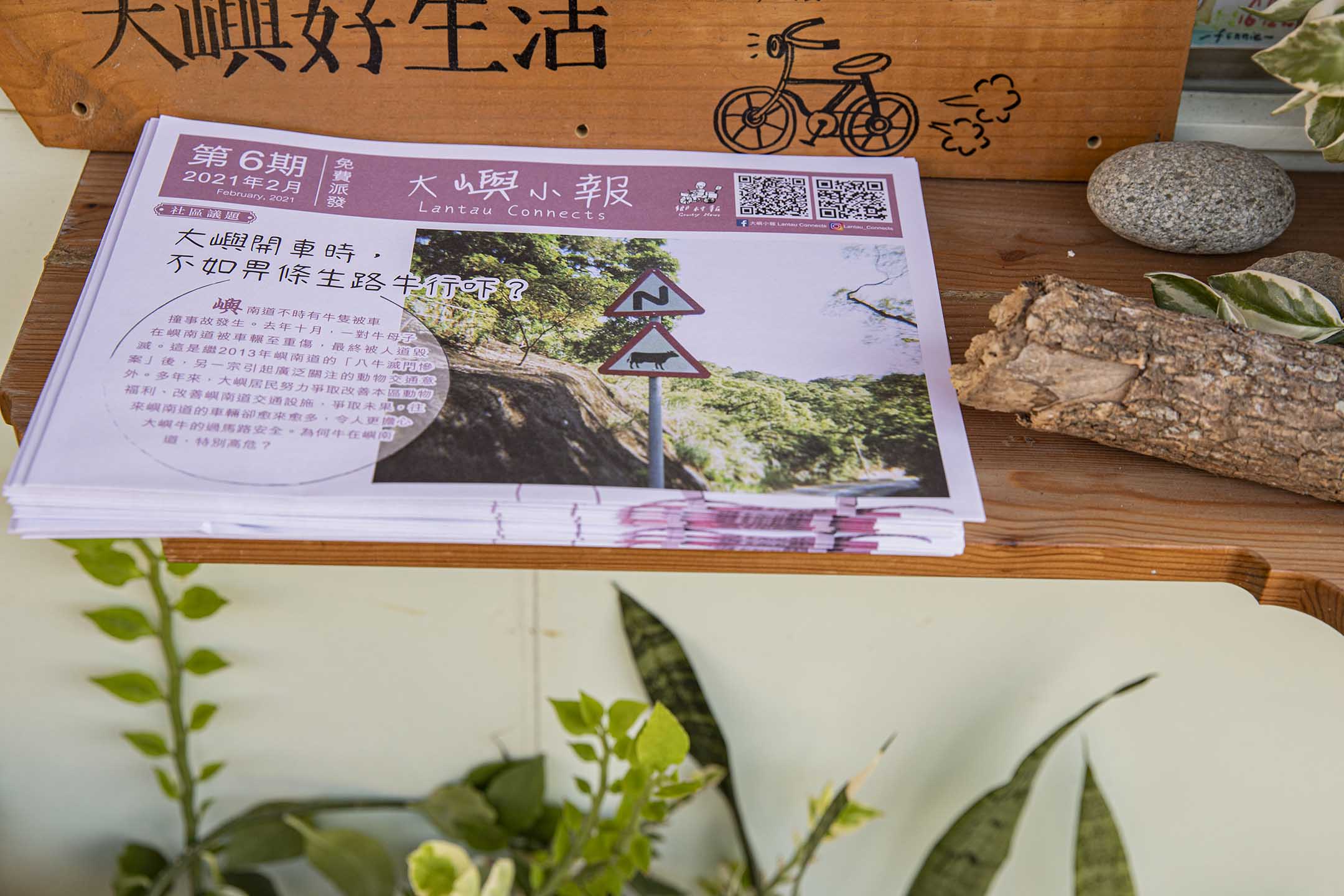 《大嶼小報》。