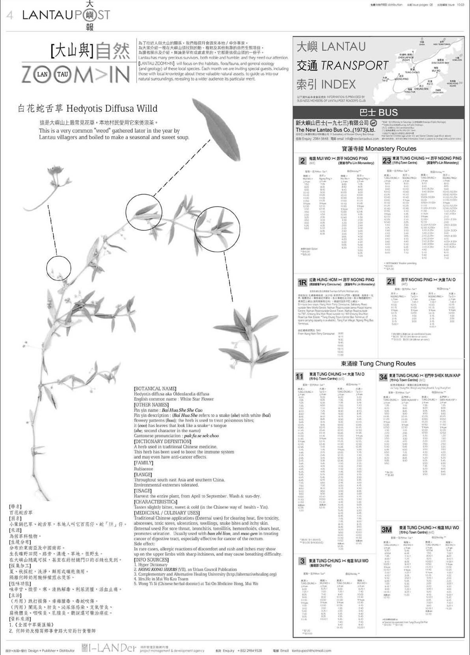 《大嶼報》十月號。