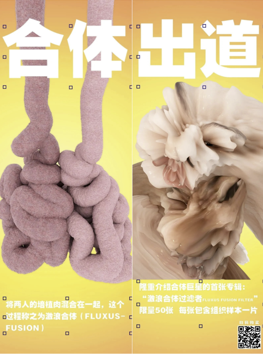 合體·出道：一位新星身體尚未成形就已經有了作品，還有什麼能比這創造更多的流量呢，簡直是在起跑線上完勝