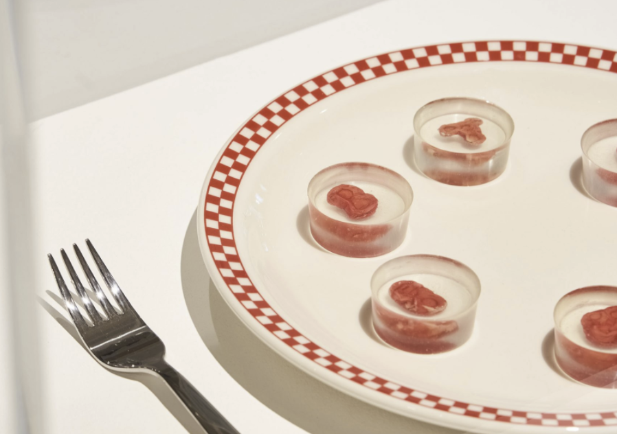 展出中一系列封存在樹脂中的小塊肉排由Ouroboros Steak製作，肉排由人體細胞在過期的血庫獻血中提取的血清當中培植而成