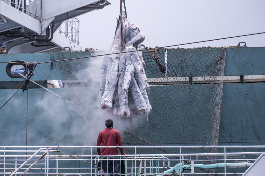 2019年,一艘台灣延繩釣船將急凍魚轉移到一艘從東京出發、懸掛巴拿馬旗的捕撈船。