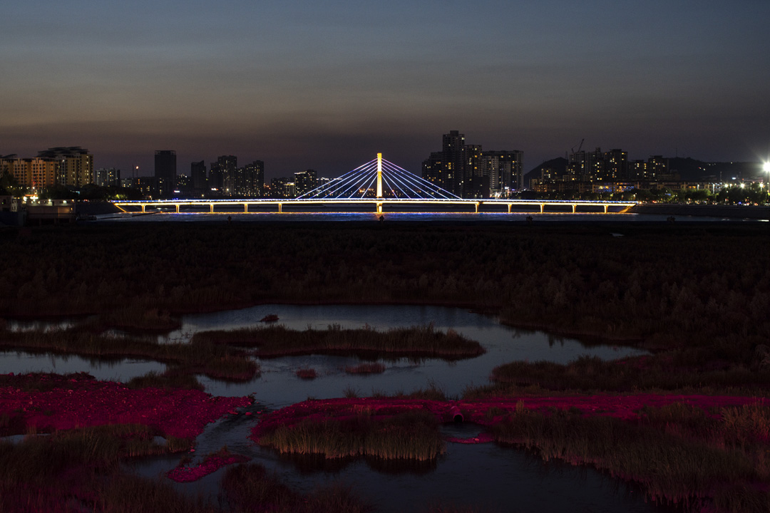 夜間的大柳塔。