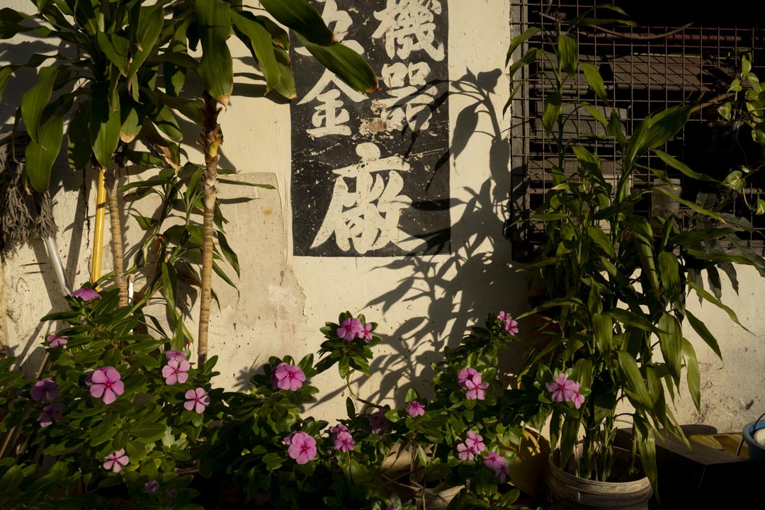 葵涌的葵安工厂大厦。