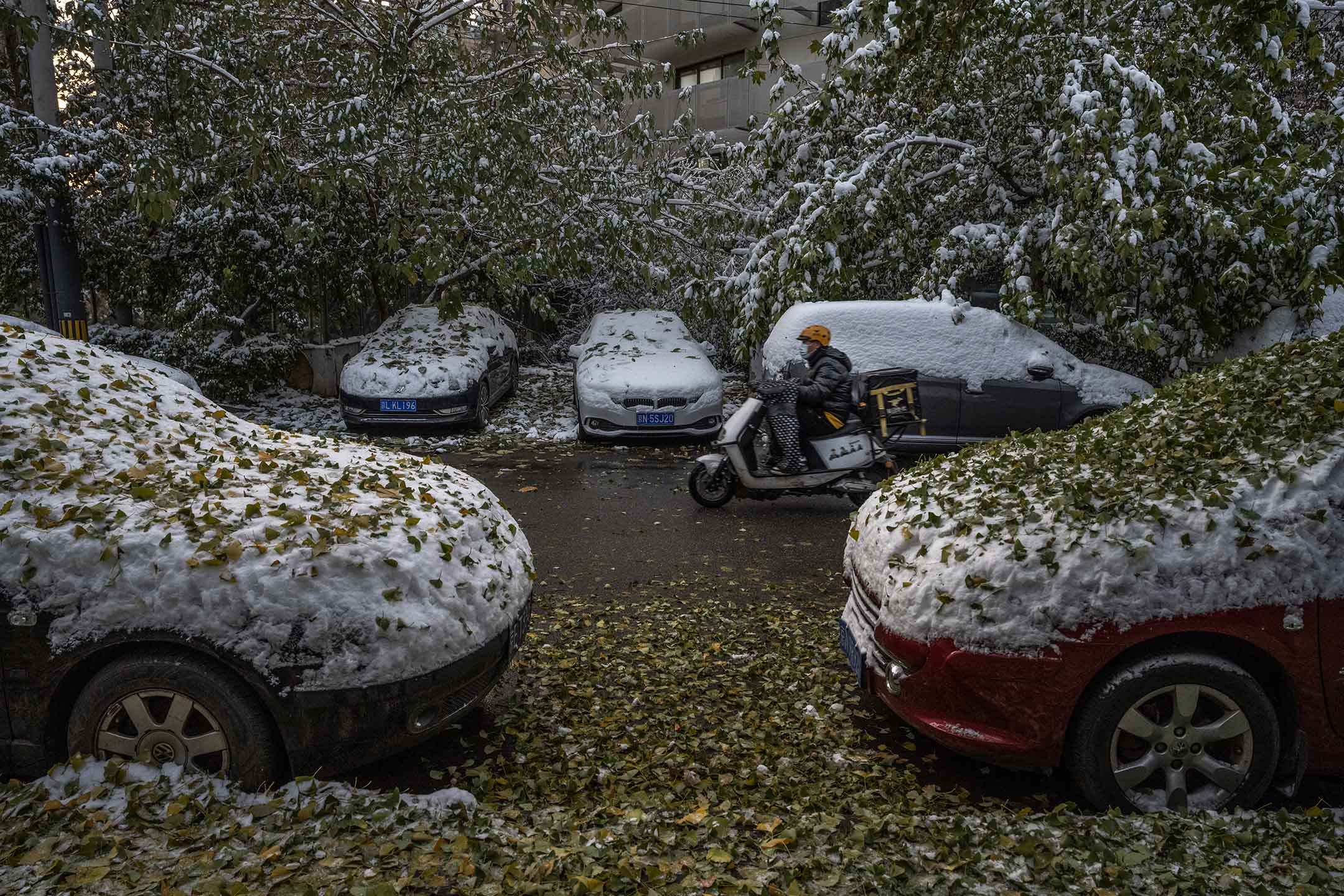 2021年11月7日北京,一名外送司機騎著摩托車經過被積雪覆蓋的汽車。