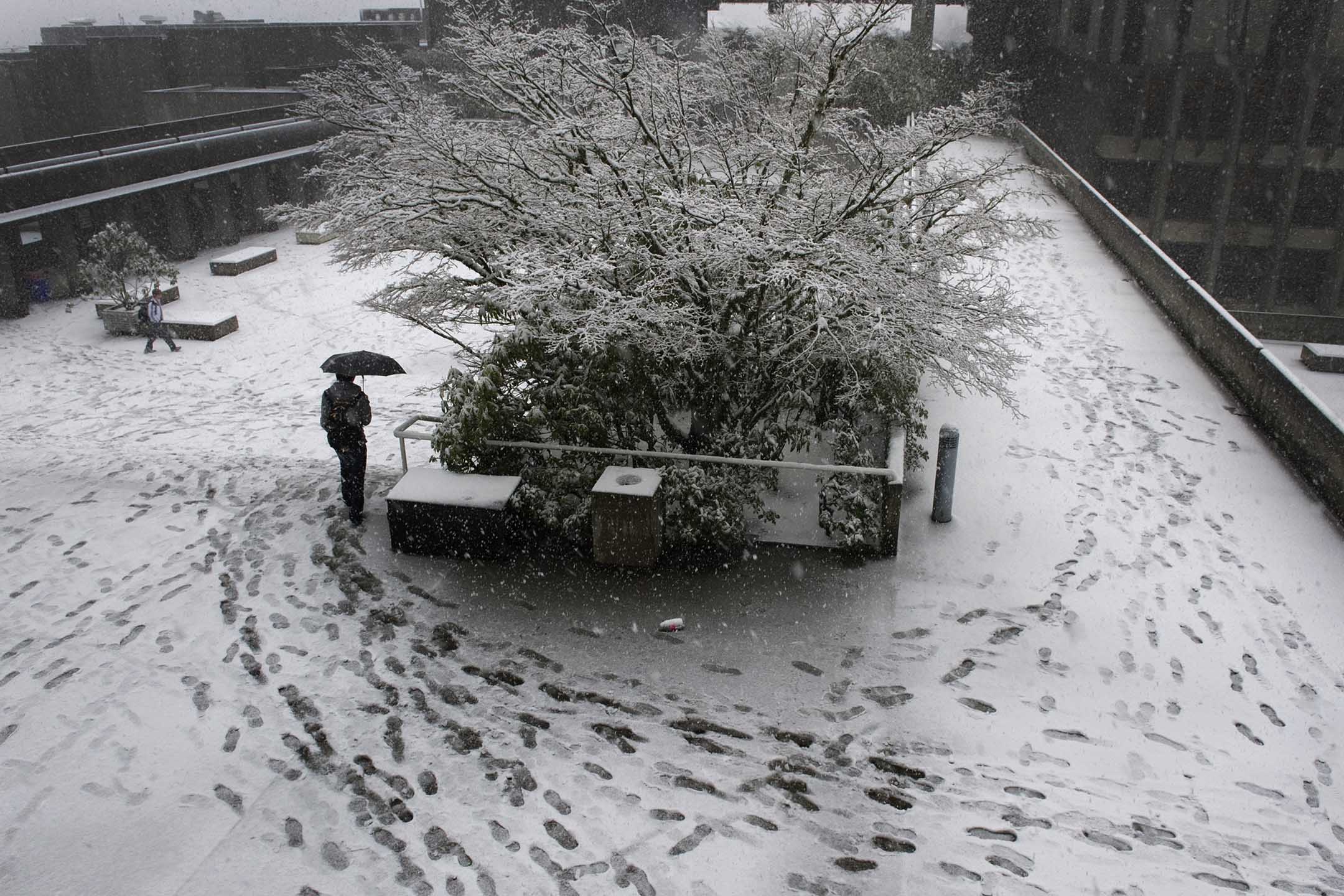 加拿大温哥华的一所大学,一名学生在雪中前往上课。