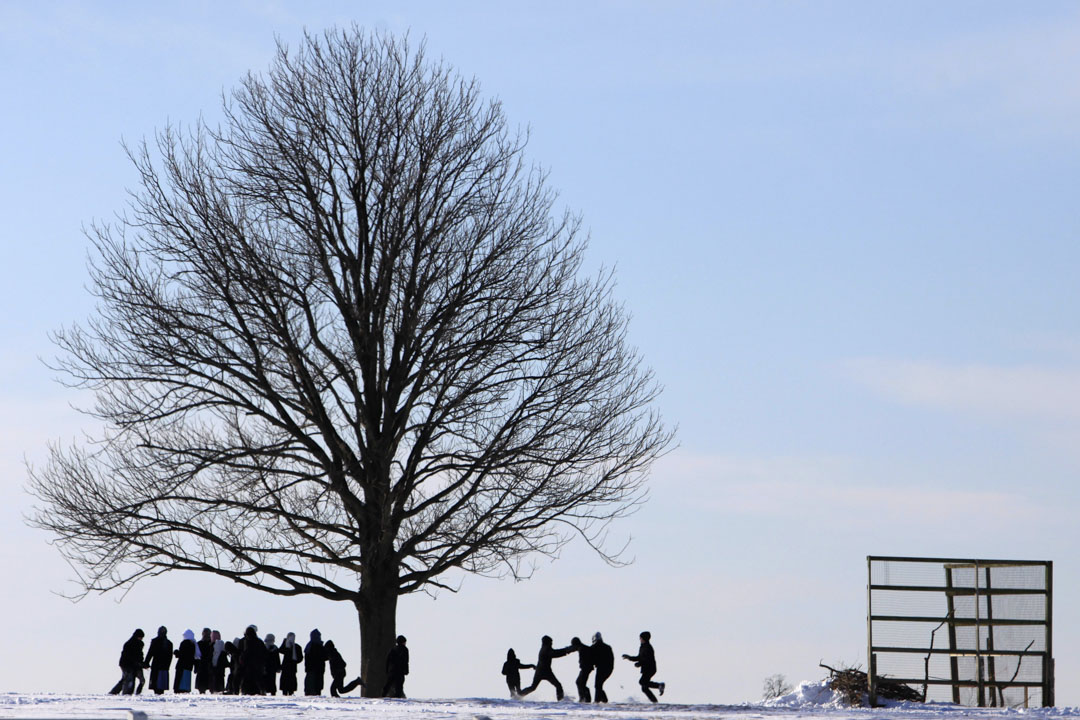 2011年1月13日,阿米什人(Amish)在賓夕法尼亞州蘭開斯特縣玩雪。