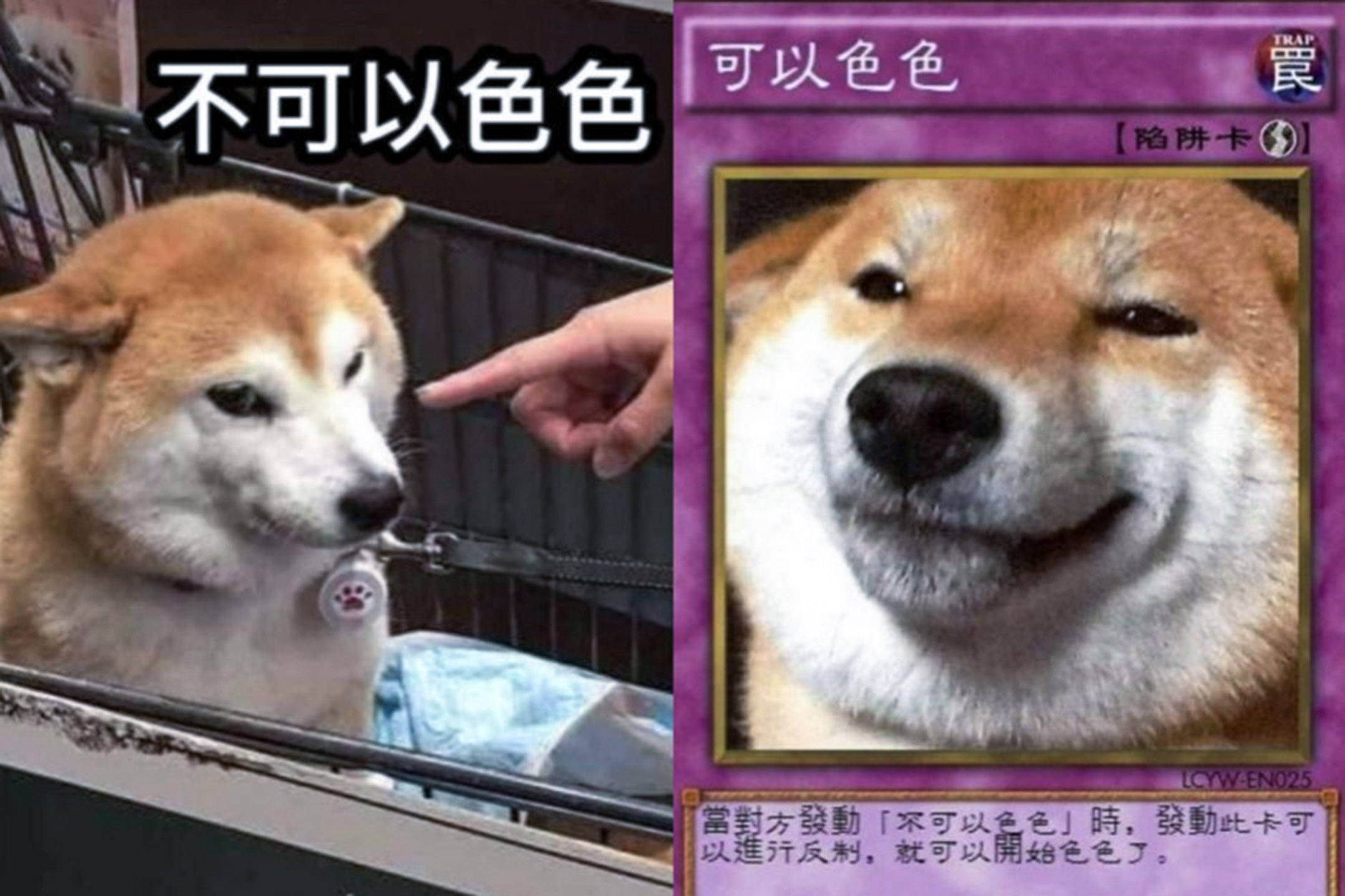 “不可以色色”梗圖。
