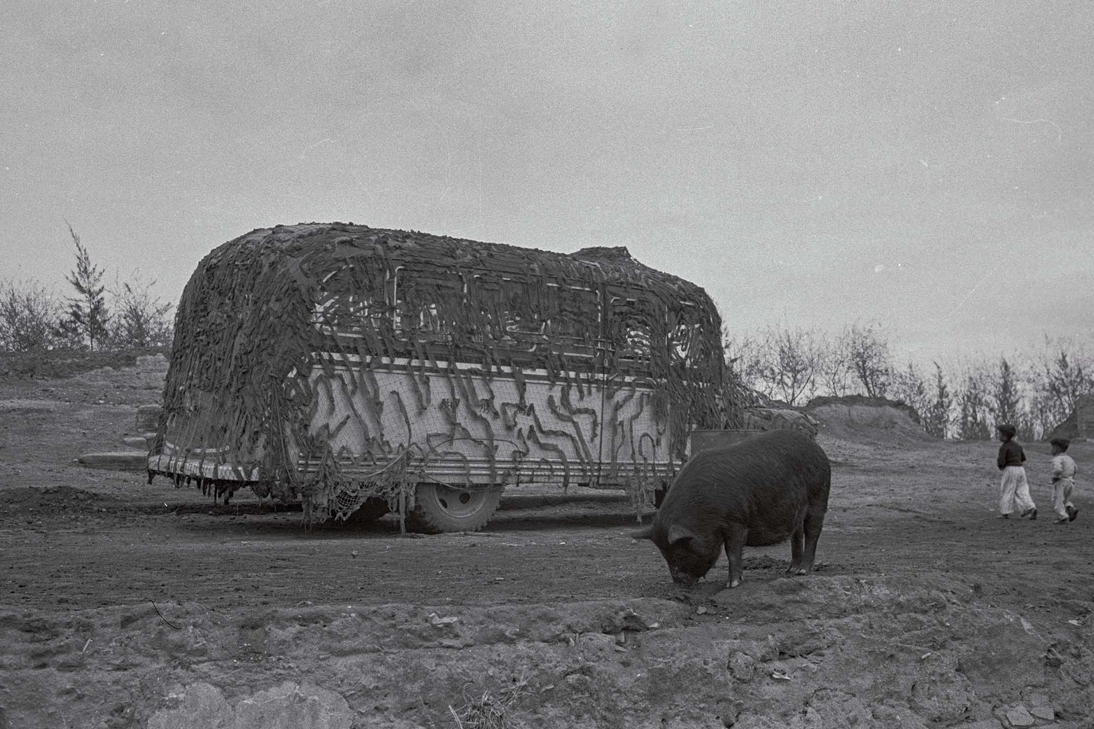 1955年4月,金门的一辆民用巴士及一头猪。