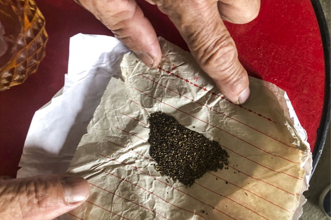 阿輝的三叔所保留的當年在黑龍江所採的砂金。