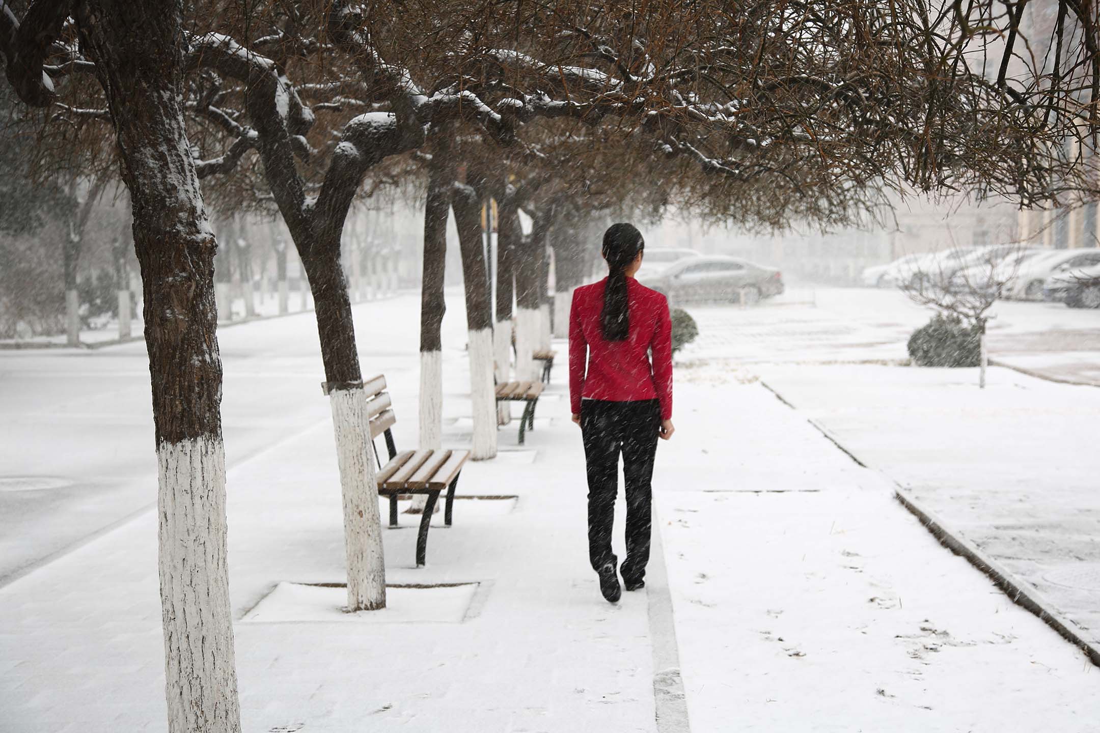 2017年2月21日,北京,一名婦女在雪地裡行走。