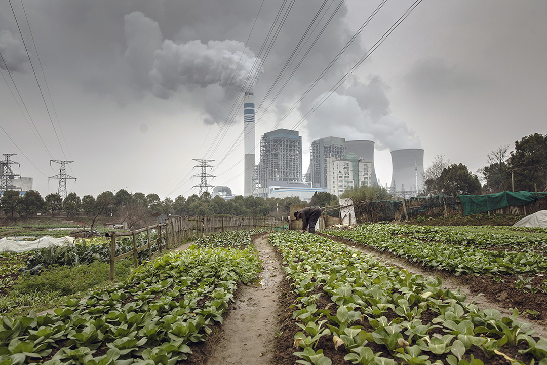 2019年1月16日，一名男子在燃煤發電廠前種植蔬菜。攝：Qilai Shen/Bloomberg via Getty Images