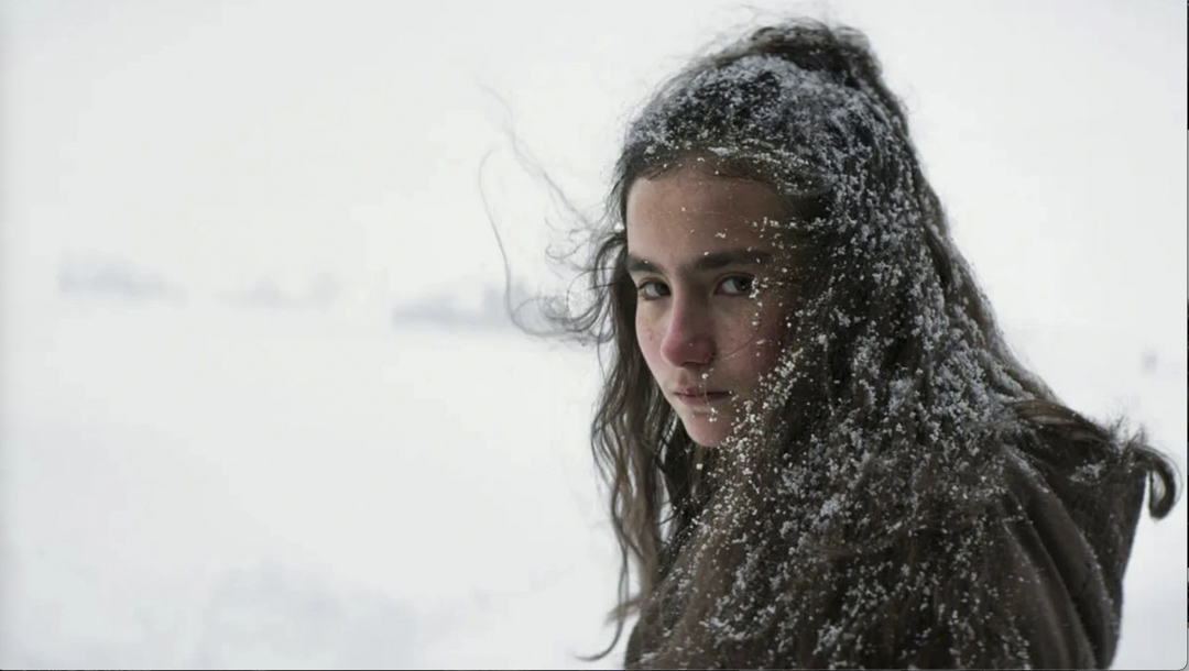 Nuri Bilge Ceylan 《枯草》。