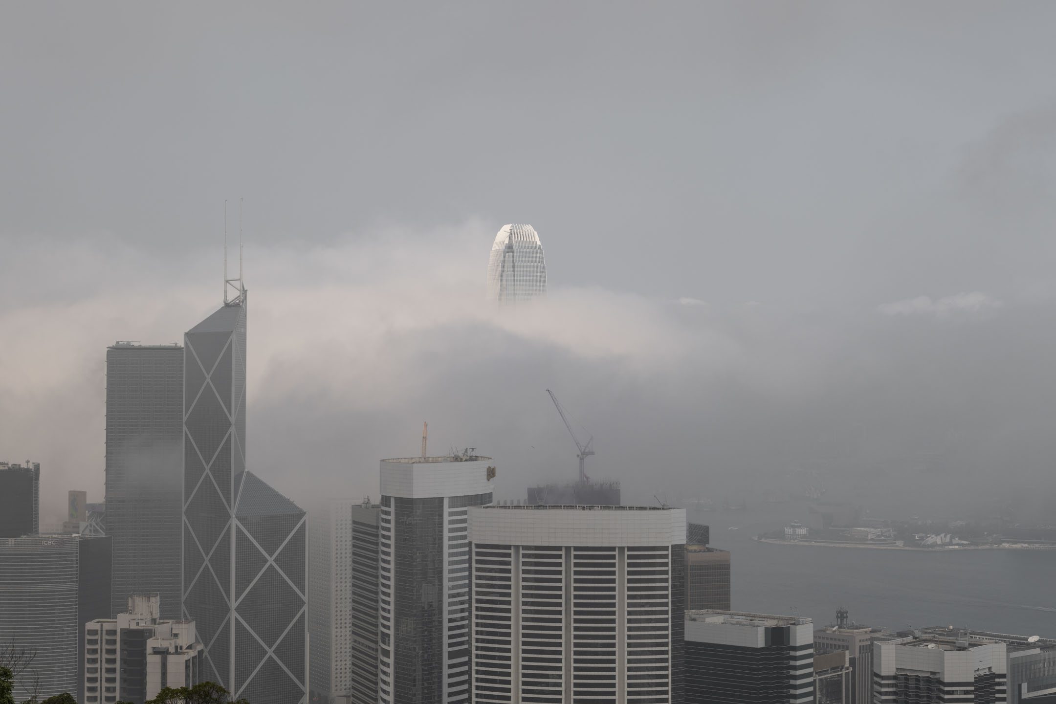 2023年,香港被大雾笼罩。摄:林振东/端传媒