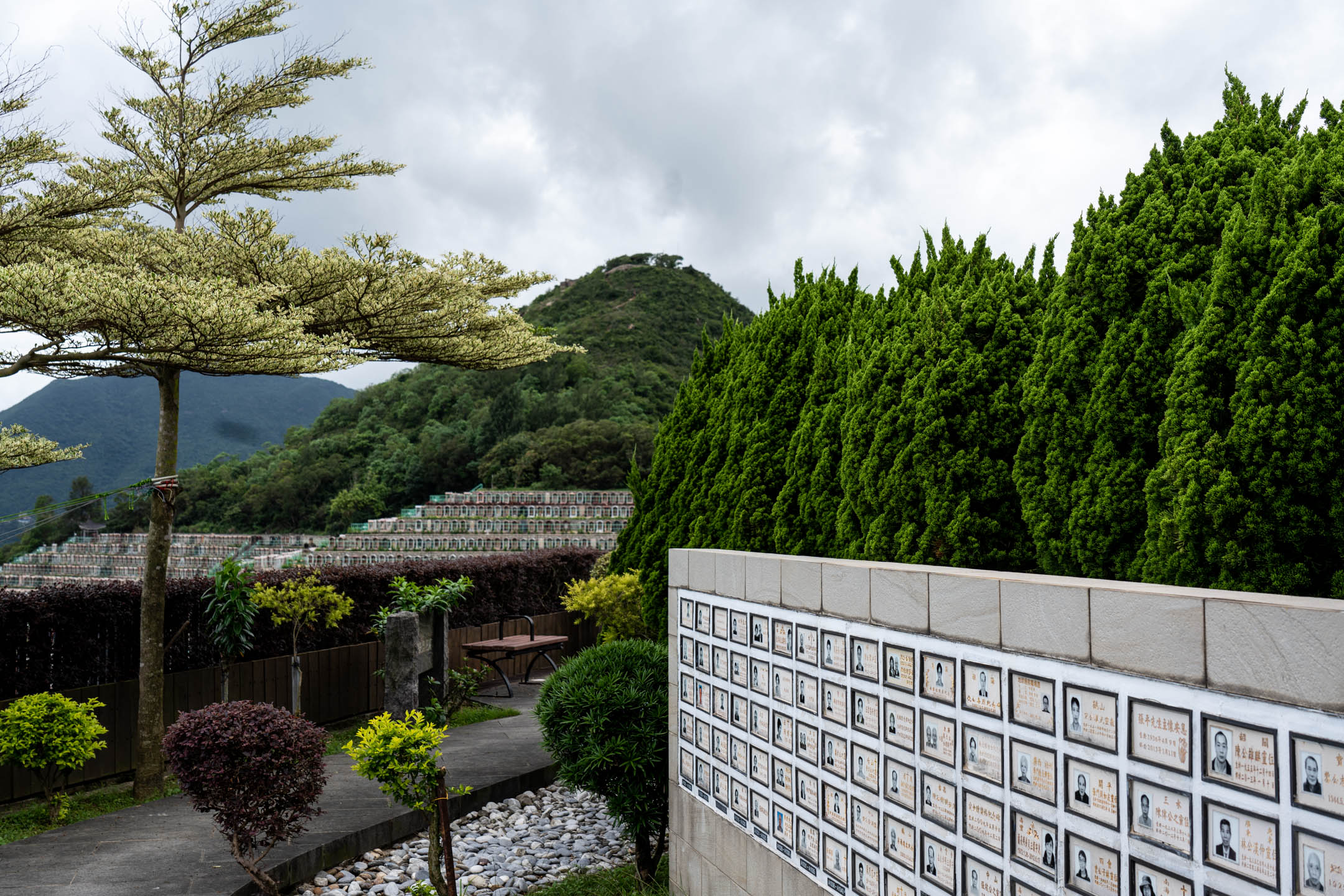 將軍澳華人永遠墳場內,設立專屬「大愛恩人」的紀念牆壁,以向器官捐贈者及其家人致敬。攝:Ryan Lai/端傳媒