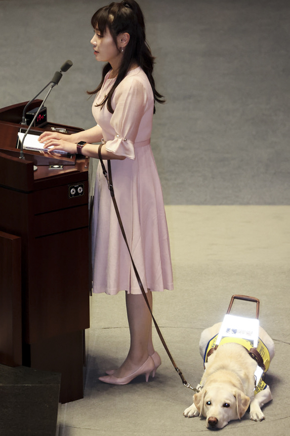 2023年6月14日,南韓第一位帶着導盲犬出席國會議政活動的盲人議員金睿智發言。網上圖片