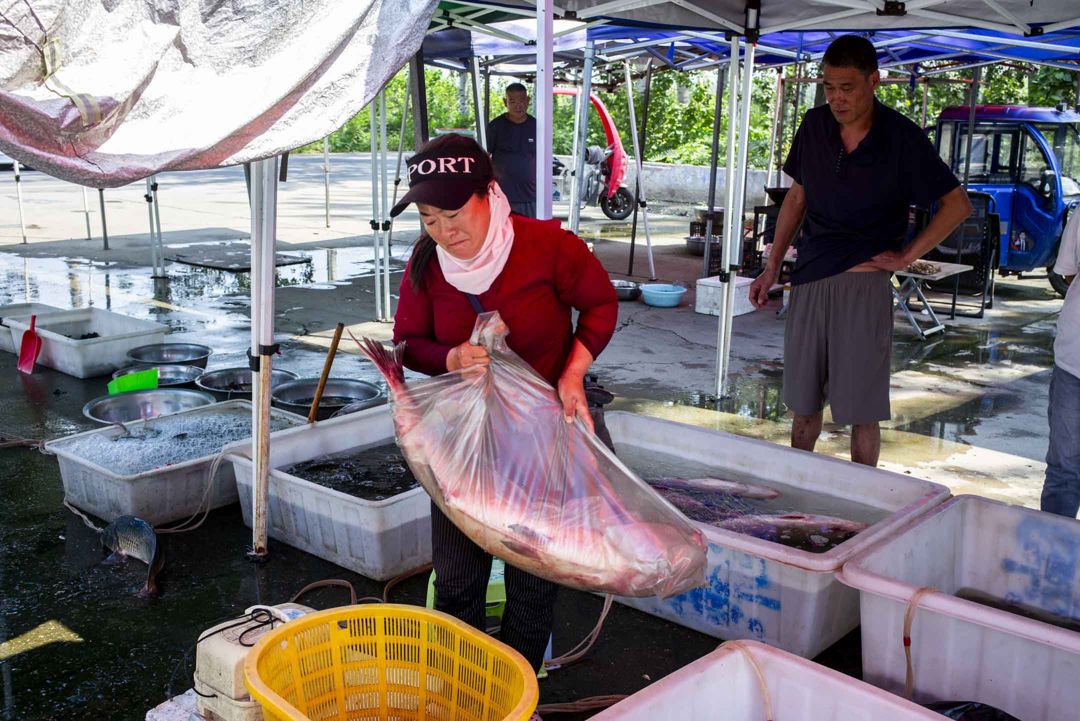 安新縣路邊一個露天魚市場,如今只剩寥寥數個商販,其中一名魚販將一條大魚磅重再賣給客人。攝:林文清/端傳媒