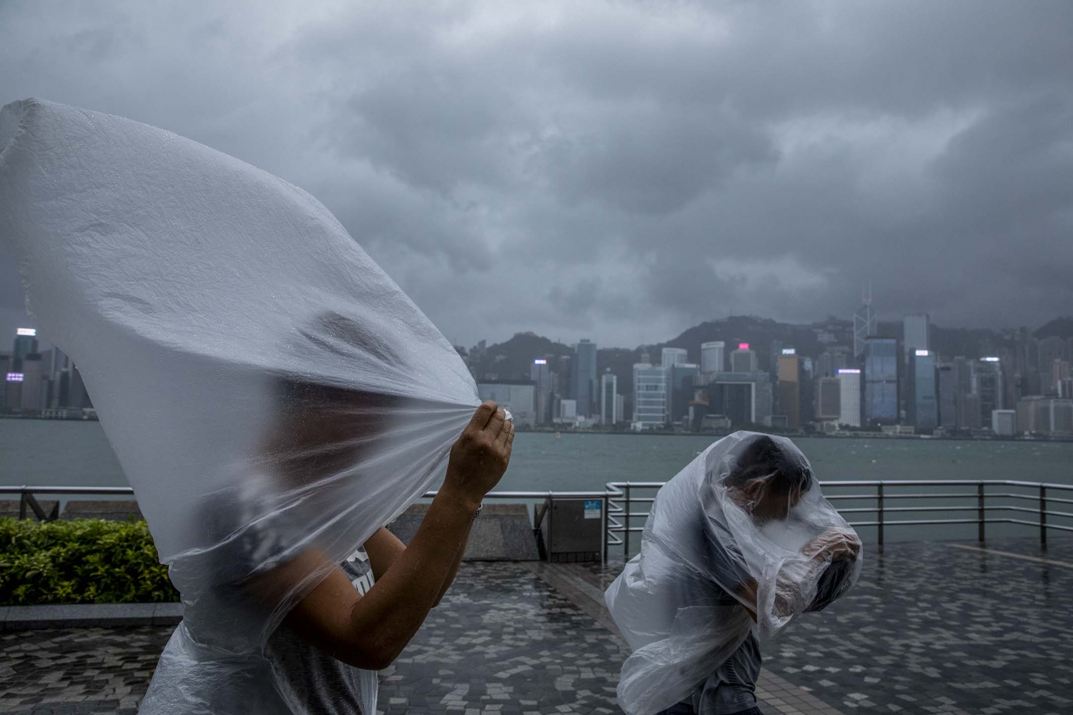 2023年9月1日,超強颱風蘇拉逐步靠近香港,尖沙咀的市民在8號風球下逆風而行。攝:林振東/端傳媒
