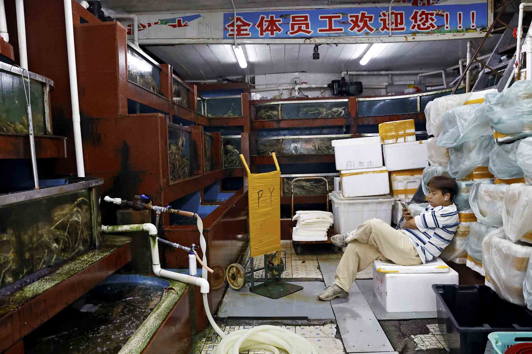 2023年8月24日,中国北京海鲜市场,一名在渔贩在查看手机。摄:Florence Lo/Reuters/达志影像