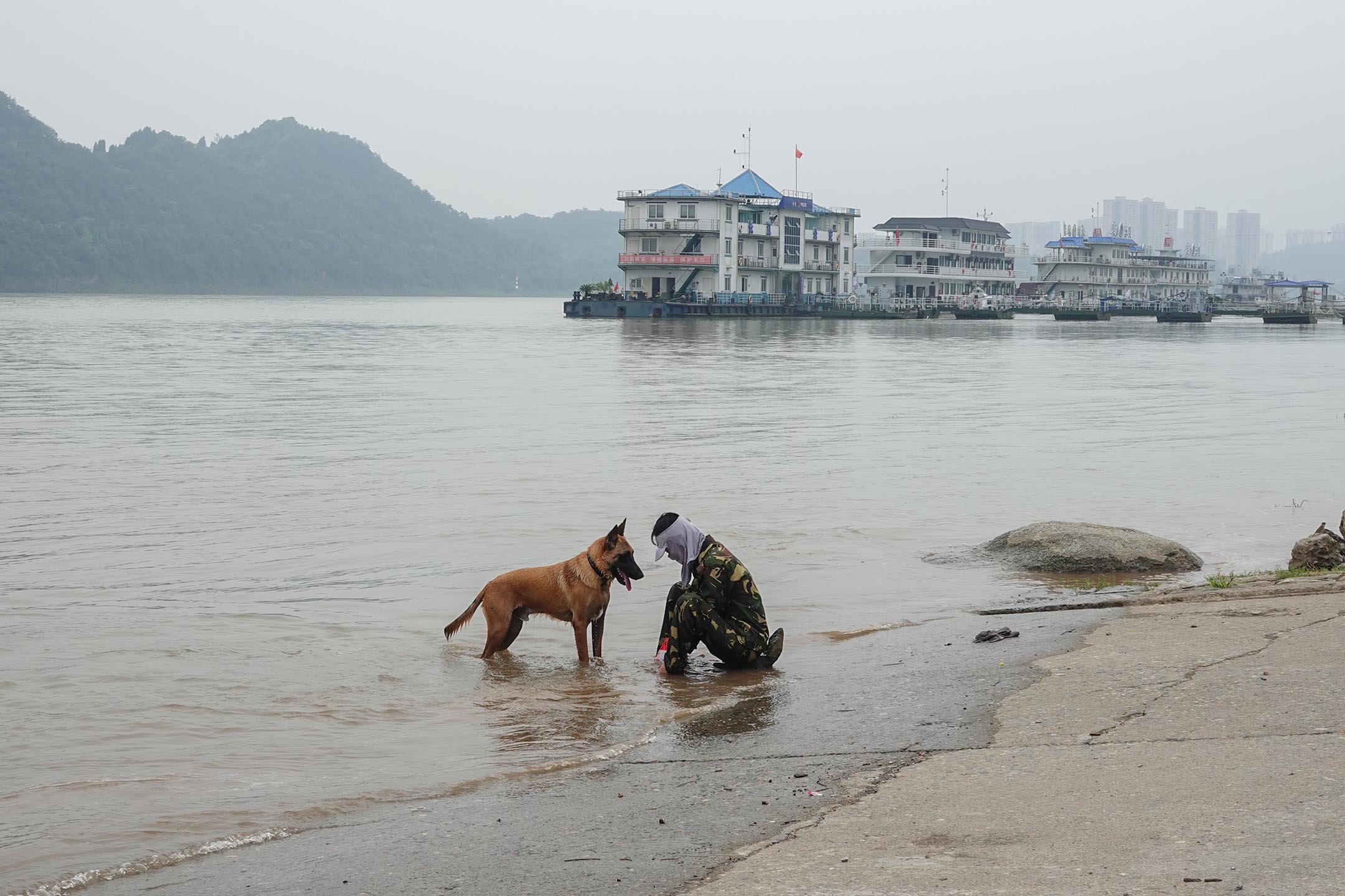 2023年7月26日,湖北省宜昌,一名男子帶着他的狗在長江邊乘涼。攝:CFOTO/Future Publishing via Getty Images