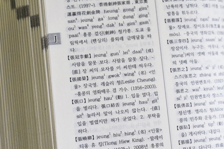 韓國人最喜歡的香港演員之一張國榮,也被收錄在字典中;其他詞條有華文媒體大亨張曉卿、中國維權律師張思之﹑嶺大學生會的張倩盈等。攝影:吳珮如