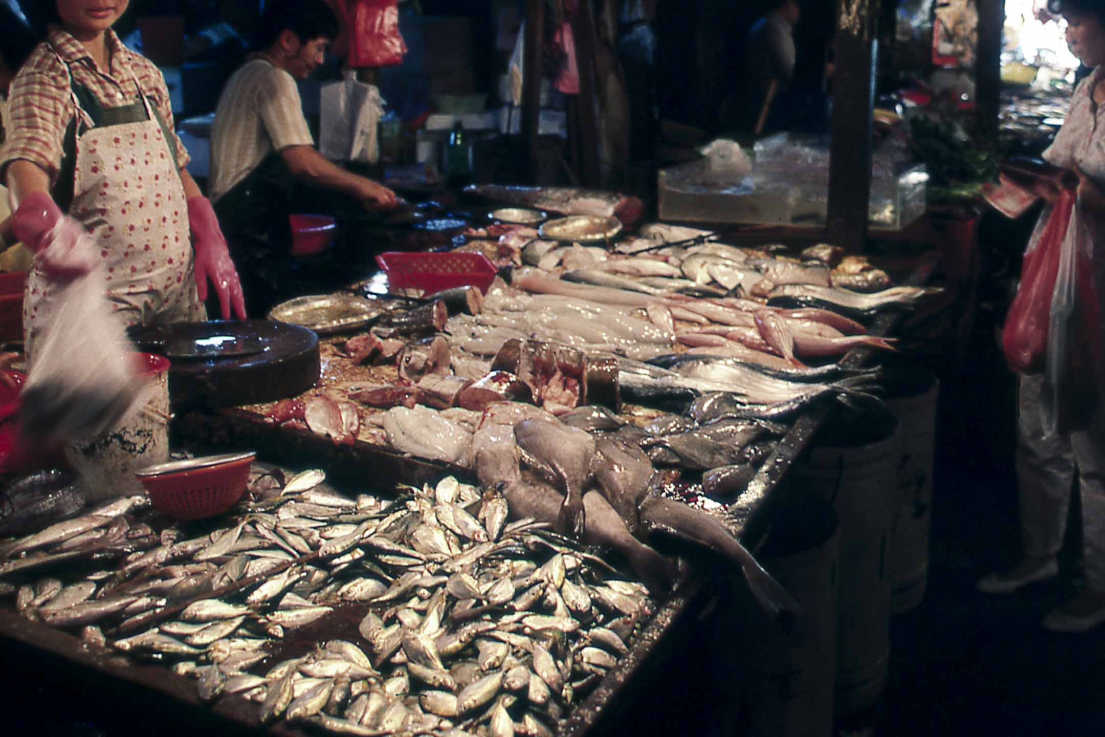 街市的魚檔。攝:Nik Wheeler/Corbis via Getty Images