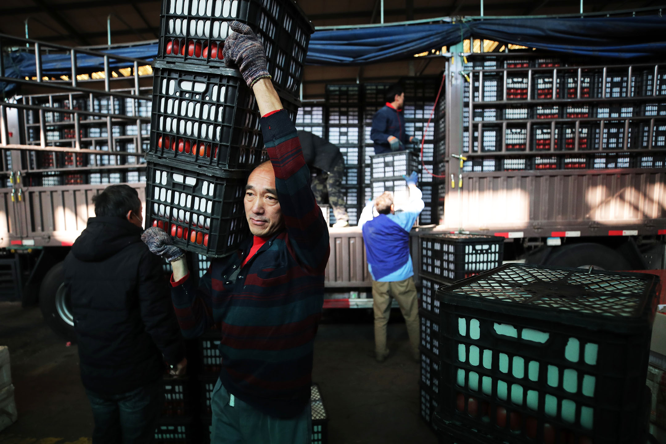 2023年12月20日,中国上海,工人在蔬菜批发市场运送货物。摄:Zhang Hengwei/China News Service/VCG via Getty Images