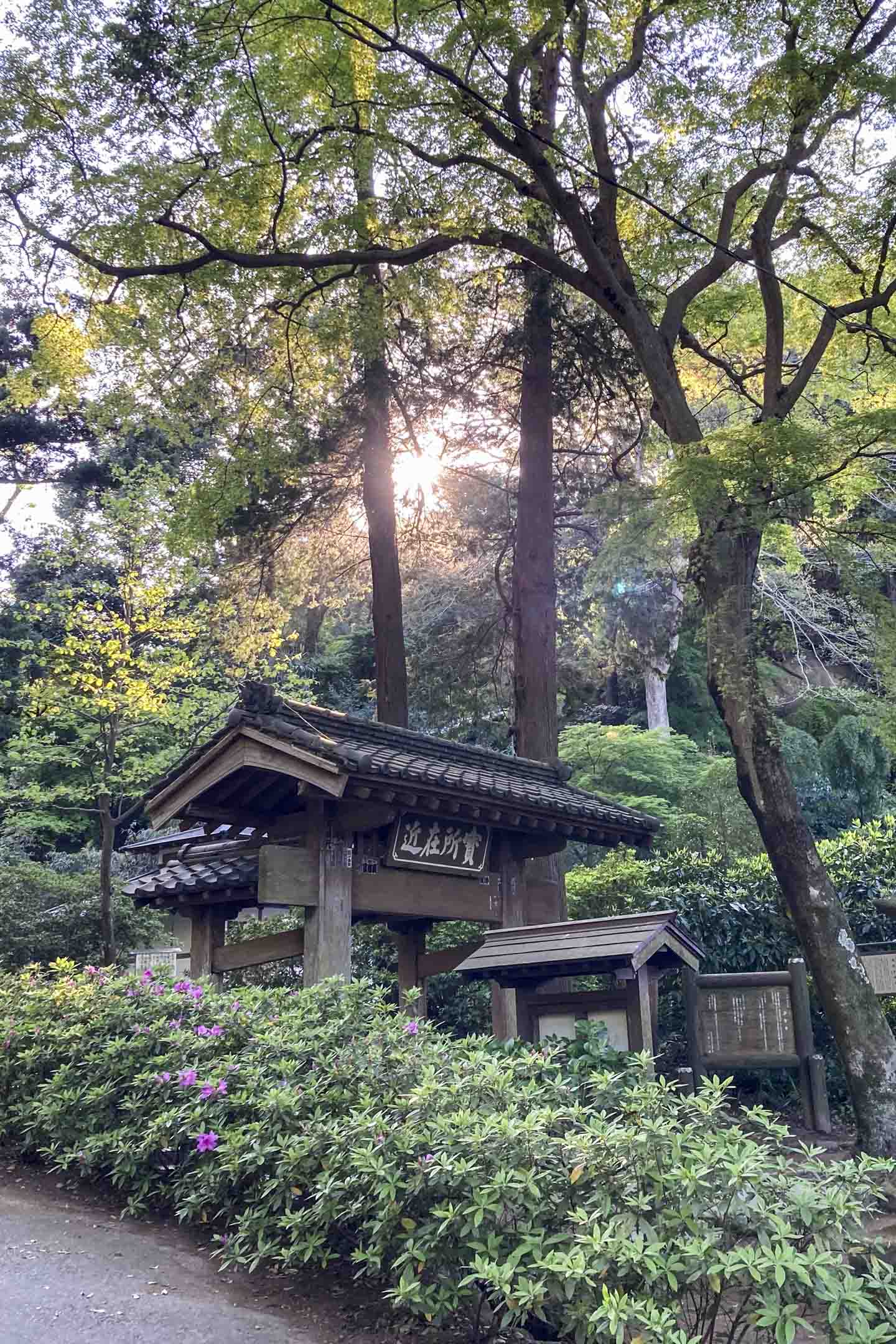 往小津舊邸路上是沿途樹林和古雅竹建,距北鎌倉站只15分鐘,隨時看到「日漏」。攝影:李照興