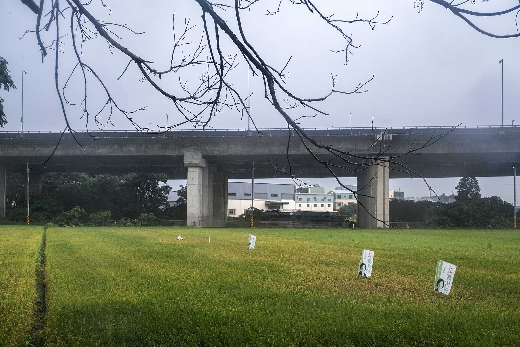 2023年6月3日,台中。摄:陈焯煇/端传媒